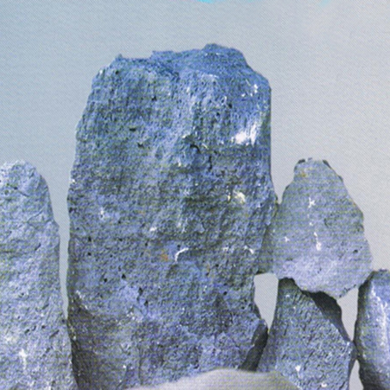 单蘑菇TV官网登录入口结晶块