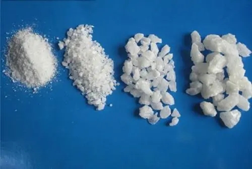 蘑菇视频APP下载段砂