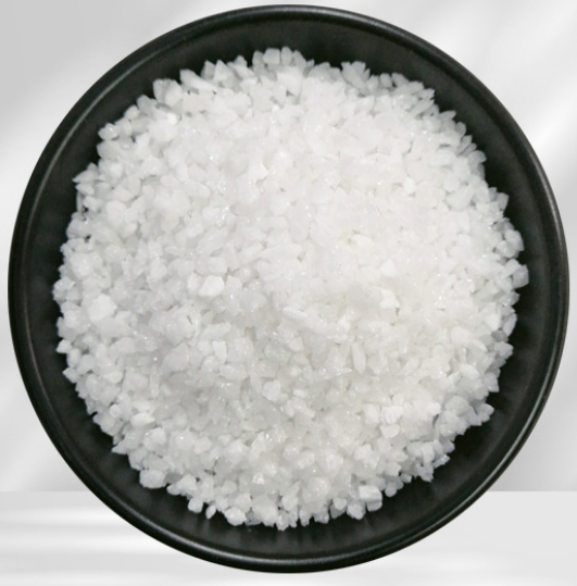 单蘑菇TV官网登录入口 单蘑菇TV官网登录入口